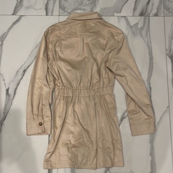 ZARA Faux Suede Dress - Picture 8 of 8